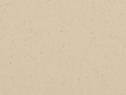 Рюкзак-мешок хлопковый Lark с цветной молнией, натуральный/черный