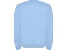 Свитшот с начесом Clasica детский, небесно-голубой