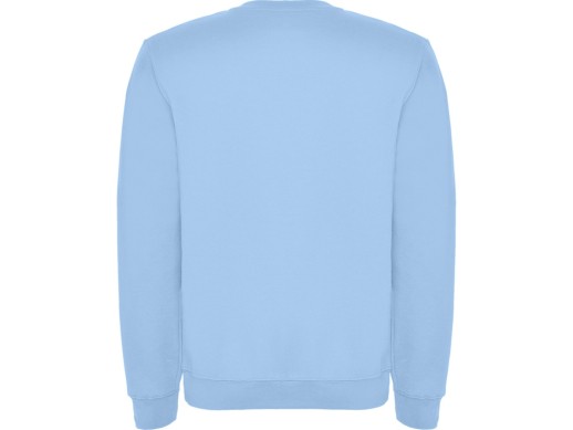Свитшот с начесом Clasica детский, небесно-голубой
