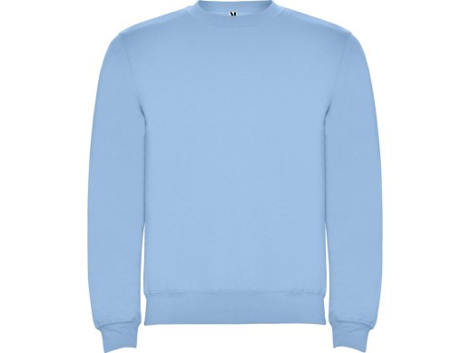 Свитшот с начесом Clasica детский, небесно-голубой