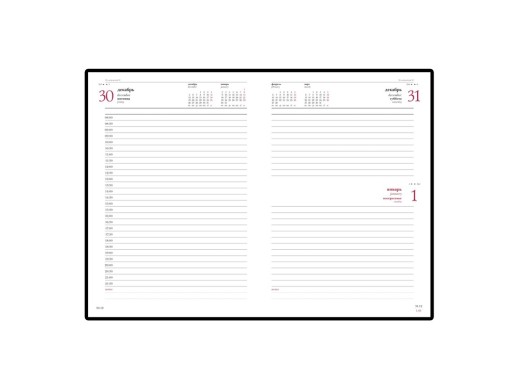 Ежедневник датированный А5 Ideal New 2026, зеленый