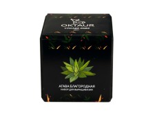 Набор для выращивания Small village cube Агава Благородная