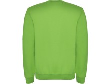 Свитшот с начесом Clasica детский, зеленое яблоко