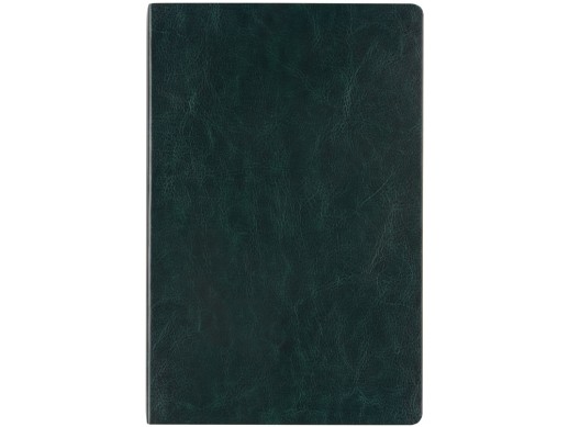 Ежедневник недатированный А5 Megapolis Nebraska Flex, зеленый с золотым обрезом (Р)