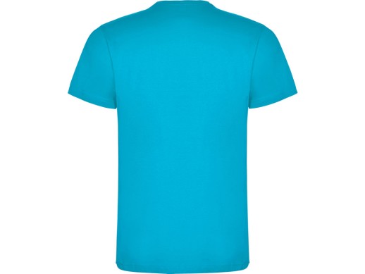 Футболка Dogo Premium мужская, бирюзовый