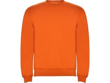 Свитшот с начесом Clasica детский, оранжевый