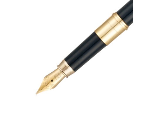 Ручка 2 в 1 шариковая и перьевая Pierre Cardin COMBI PEN, цвет - черный. Упаковка Е с нанесением логотипа с нанесением логотипа