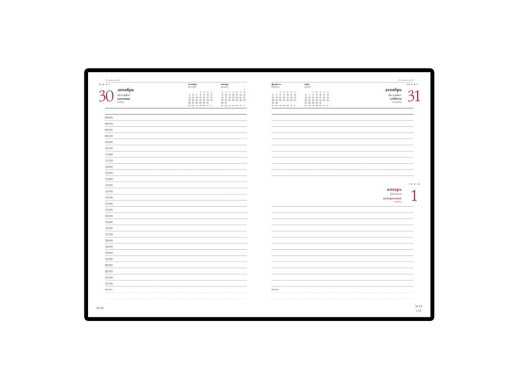 Ежедневник А5 датированный Leader 2025, красный