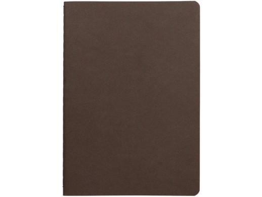Бизнес тетрадь А5 Pragmatic, 40 листов в клетку, темно-коричневый