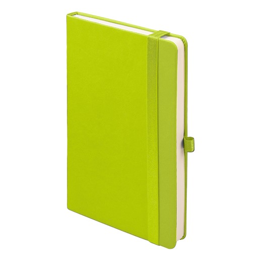 Ежедневник недатированный HAMILTON, A5, светло-зеленый, кремовый блок -  24614/36