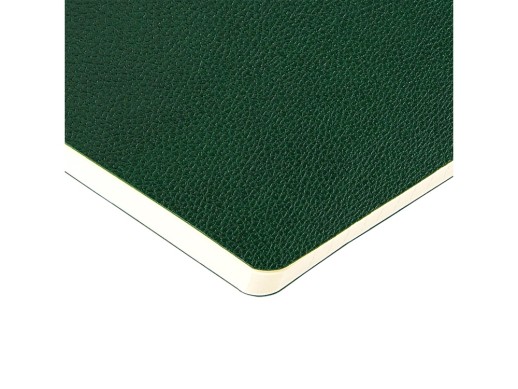 Бизнес-тетрадь А5 Megapolis Loft Flex 60 л., линейка, зеленый с нанесением логотипа с нанесением логотипа