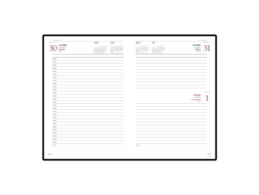 Ежедневник А5 датированный Бумвинил 2025, бордовый