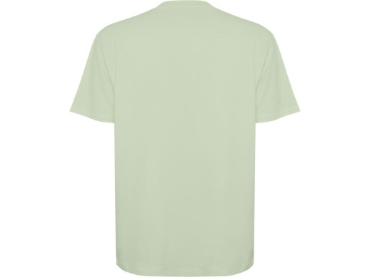 Футболка оверсайз Bull унисекс, припыленный зеленый