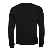 Толстовка свитшот SPIDER 260   701168.312