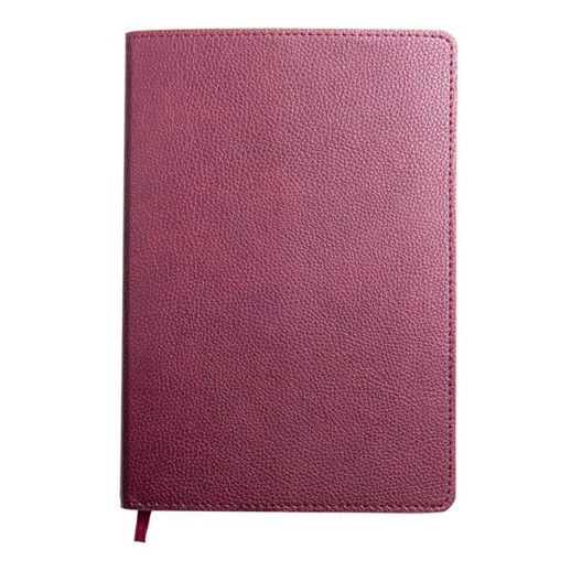 Ежедневник недатированный портфолио Mark,формат А5, в линейку   24734/13