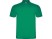 Рубашка поло Austral мужская, зеленый