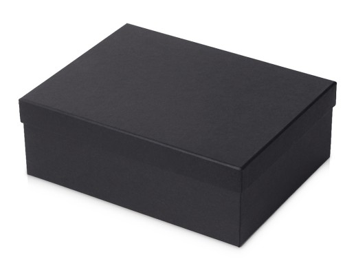 Подарочный набор с зонтом и термосом, черный