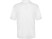 Рубашка поло Boston N мужская, белый