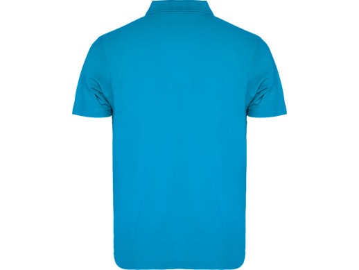 Рубашка поло Austral мужская, бирюзовый