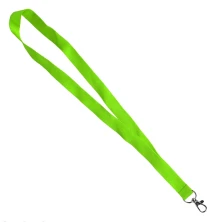 Ланъярд NECK, светло-зеленый, полиэстер, 2х50 см    348780/16