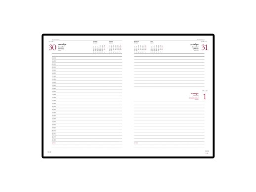 Ежедневник А5 датированный Sidney Nebraska 2026, красный (золотой обрез)