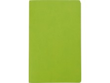Блокнот А6 Riner, зеленое яблоко