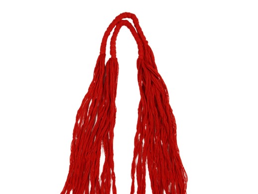 Авоська Dream L наплечная 25 литров, красный (1)