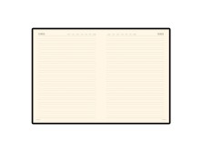 Ежедневник недатированный А4 Megapolis синий