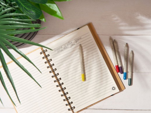 Растущий карандаш mini Magicme (1шт) - Акация Серебристая