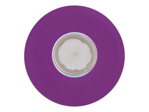 Бутылка для воды стеклянная Refine, в чехле, 550 мл, фиолетовый