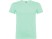 Футболка Beagle мужская, ментоловый