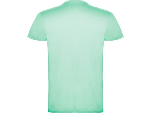 Футболка Beagle мужская, ментоловый