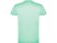 Футболка Beagle мужская, ментоловый