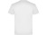 Футболка Teckel мужская, белый