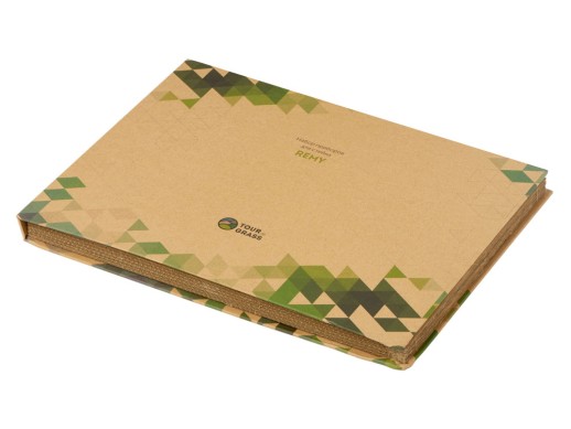 Набор приборов для стейка Remy с нанесением логотипа с нанесением логотипа