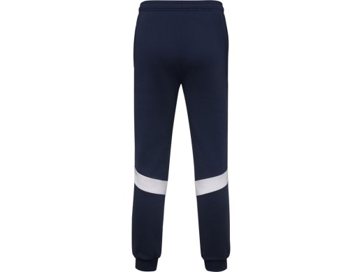 Брюки спортивные Rodas мужские, синий нэйви с нанесением логотипа с нанесением логотипа