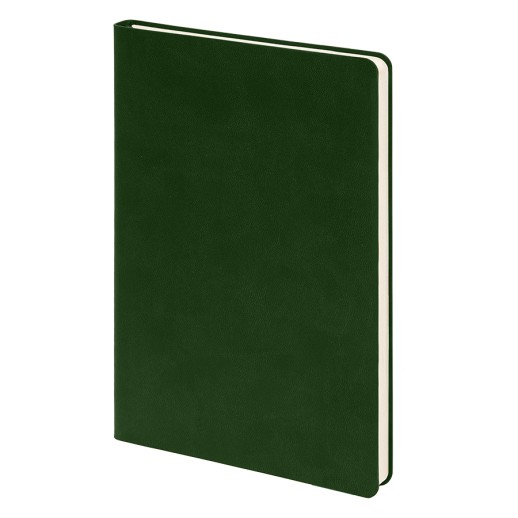 Бизнес-блокнот FUNKY, 130*210 мм, зеленый, красный форзац, мягкая обложка, в линейку ,   21209/15/08