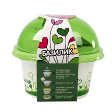 Набор для выращивания микрозелени. БАЗИЛИК ,   33803